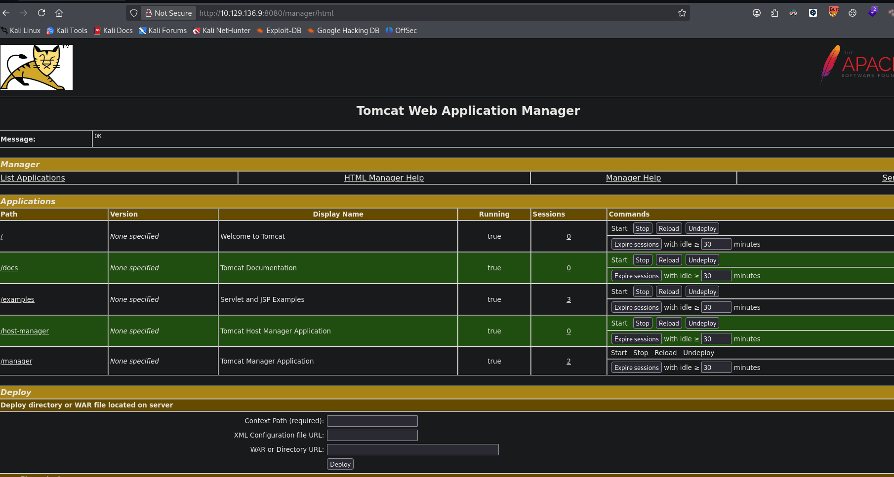 Tomcat Manager Access
